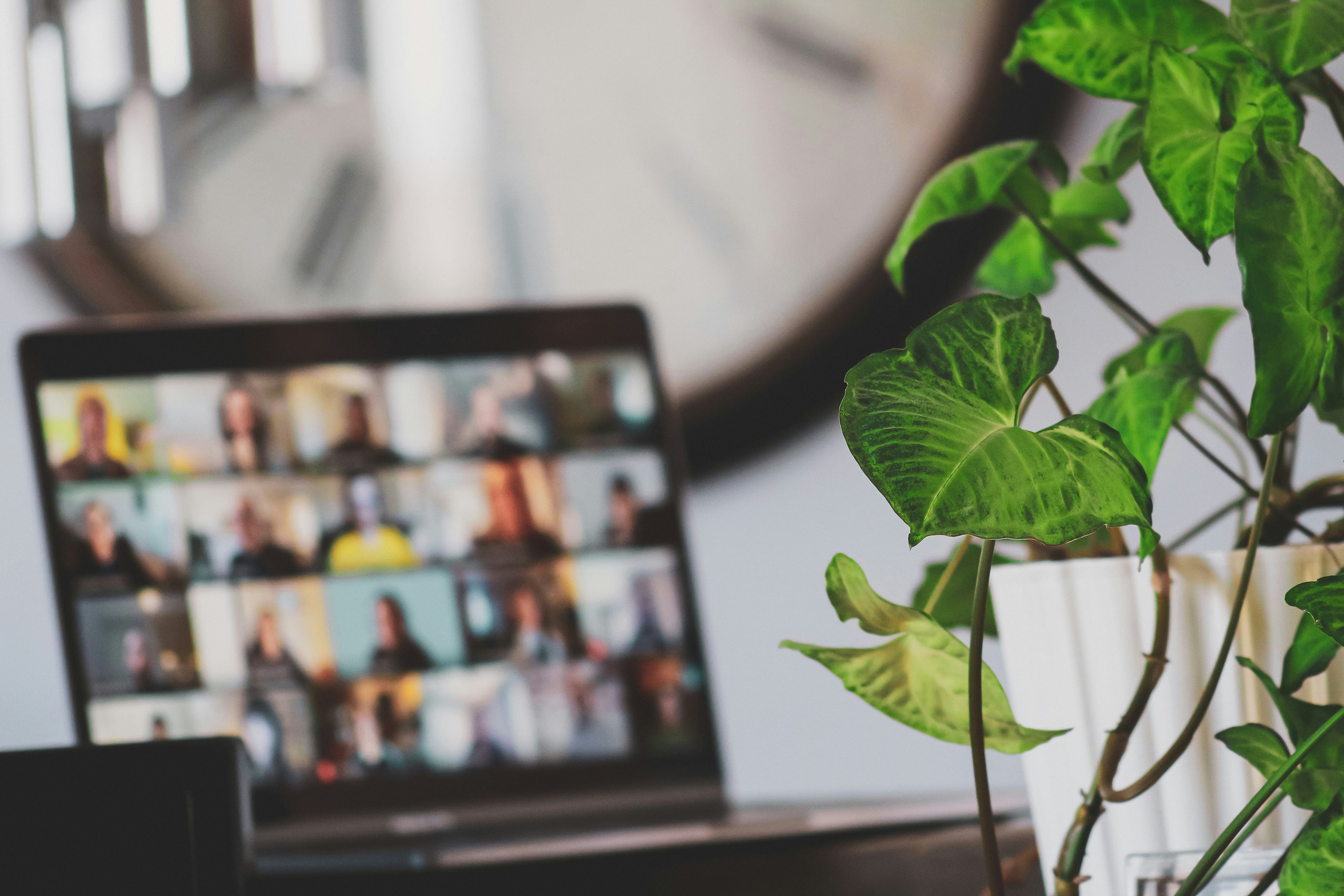 Freelancer vs. Agentur: Wie Kreative heute arbeiten
